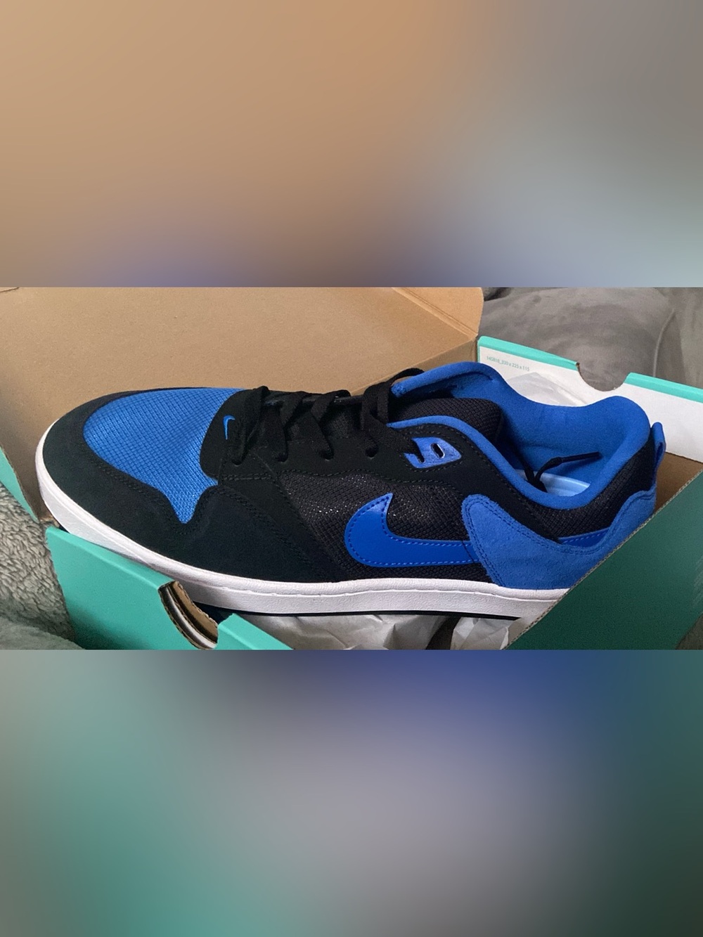 Nike (GS) SB ALLEYOOP

Black and blue sneakers

Size Men US 12